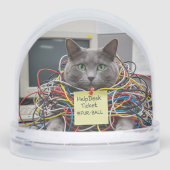 Help Desk Cat, Office, Fun Cats meme Snow Globe (正面)