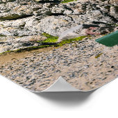 Hemanus Rocks、Western Cape ポスター (角)