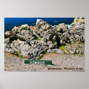 Hemanus Rocks、Western Cape ポスター