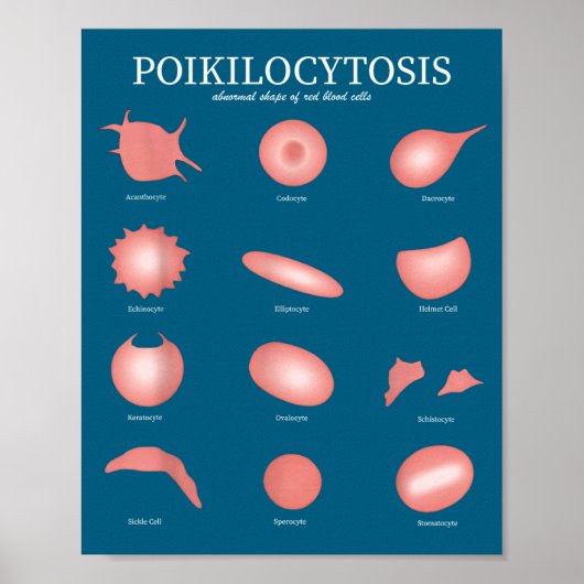 Hematology Red Blood Cell Laboratory Science Hemat ポスター (正面)