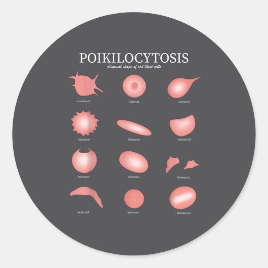 Hematology Red Blood Cell Laboratory Science Hemat ラウンドシール (正面)