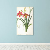 Hemerocallis fulva, from 'Les Liliacees', 1805 キャンバスプリント (インサイチュ (ウッドフロア))