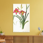 Hemerocallis fulva, from 'Les Liliacees', 1805 キャンバスプリント (インサイチュ (リビング))