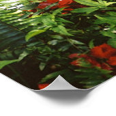 Hemingway cat 1噴水飲み – ポスター&プリント ポスター (角)