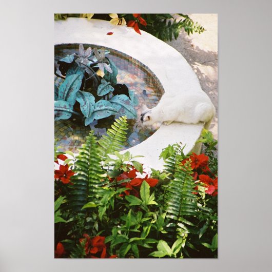 Hemingway cat 1噴水飲み – ポスター&プリント ポスター (正面)