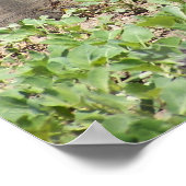 Henポスター ポスター (角)