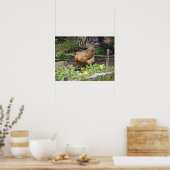 Henポスター ポスター (キッチン)