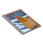 Hen In Coopの戸口手帳 ノートブック (右側)