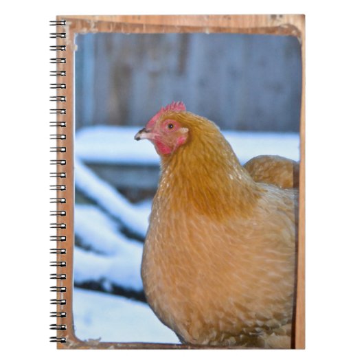 Hen In Coopの戸口手帳 ノートブック (正面)
