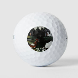 Hen with her Chicks in a Rural Farmyard Landscape ゴルフボール