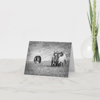 henerydog3 カード