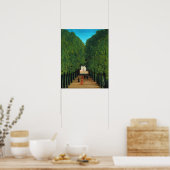 Henri Rousseau, Avenue in the Park at Saint Cloud ポスター (キッチン)