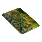 Henri Rousseau - Surprised! マグネット (右側)