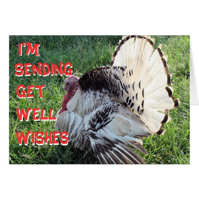 Henry8833-任意のカスタマイズ大事な行事 (正面横)