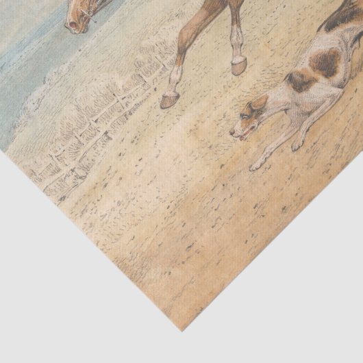 Henry Alken | A Whipper-In 薄葉紙 (詳細)