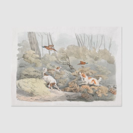 Henry Alken | Dogs Chasing Pheasants 薄葉紙 (正面)