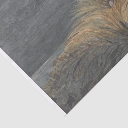 Henry Alken | Grouse Shooting 薄葉紙 (詳細)