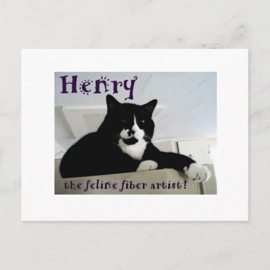 Henry the Feline Fiber Artistポストカード ポストカード (正面)