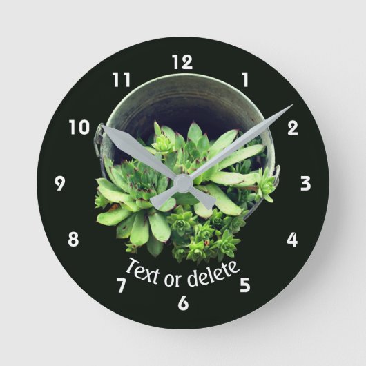 Hens And Chicks Succulents Floral Personalized  ラウンド壁時計 (正面)