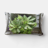 Hens And Chicks Succulents In A Bucket   ランバークッション (裏面)