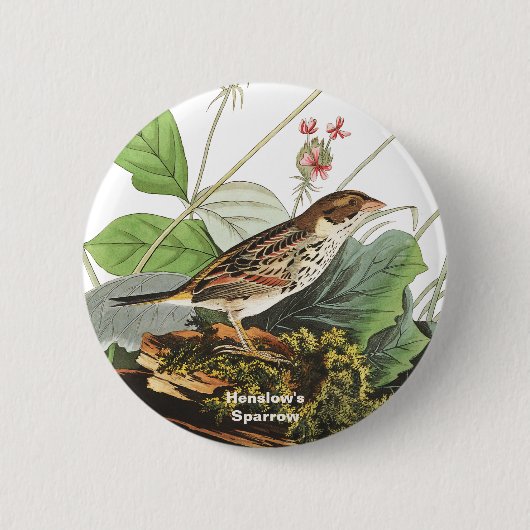 Henslow's Sparrow, Birdwatcher, Audubon Art, Bird 缶バッジ (正面)