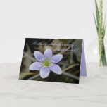 Hepatica Special Friend Birthday Card カード<br><div class="desc">A soft,  blue hepatica flower is perfect for wishing your very special friend a wonderful birthday.  Hepatica is named for the lobed,  liver-shaped leaves that turn reddish-brown in cold weather.  They bloom in early spring.</div>