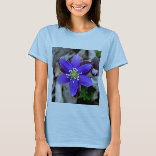 Hepatica Tシャツ (正面)