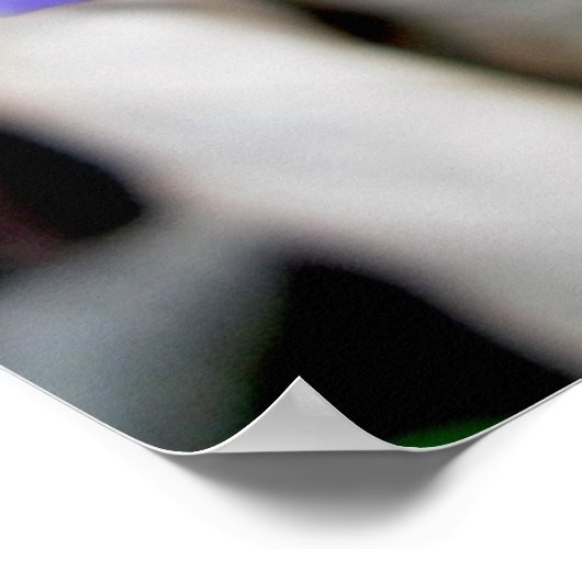 Hepatica Wildflowerポスター ポスター (角)