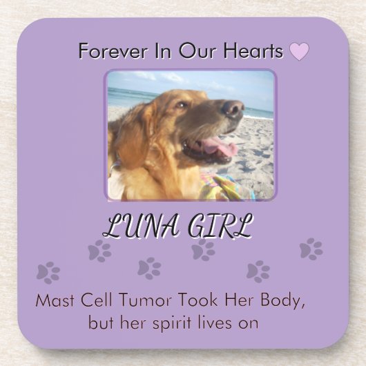 Her Love Lives in Every Step コースター (正面)