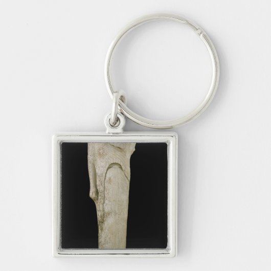 Heraに専用されているKoreの姿 キーホルダー (正面)