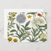 Herbal Harmony インビテーションポストカード (正面/裏面)