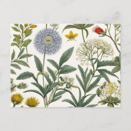 Herbal Harmony ポストカード
