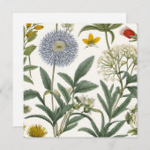 Herbal Harmony 招待状 (正面/裏面)