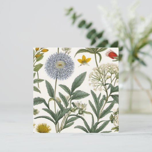 Herbal Harmony 招待状 (スタンド正面)