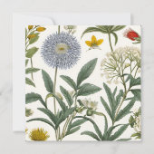 Herbal Harmony 招待状 (正面)