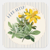 Herbalism St. Johns Wort Herbs Custom Stickers スクエアシール (正面)