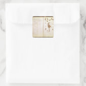 Herbariumから24ページ スクエアシール (バッグ)