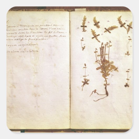 Herbariumから24ページ スクエアシール (正面)