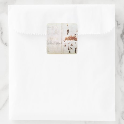 Herbariumの15ページ スクエアシール (バッグ)
