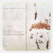 Herbariumの15ページ スクエアシール (正面)