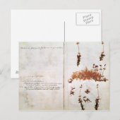 Herbariumの15ページ ポストカード (正面/裏面)