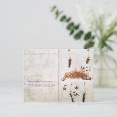 Herbariumの15ページ ポストカード (スタンド正面)