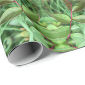 Herbes du jardin ラッピングペーパー (ロールコーナー)