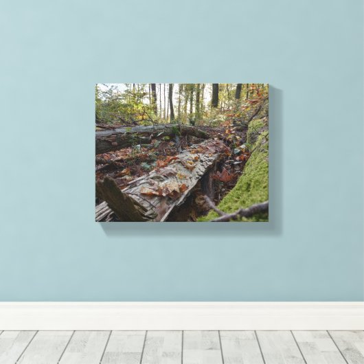 Herbst キャンバスプリント (インサイチュ (ウッドフロア))