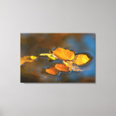 Herbstblätter im See キャンバスプリント (正面)