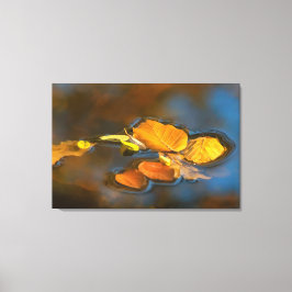 Herbstblätter im See キャンバスプリント