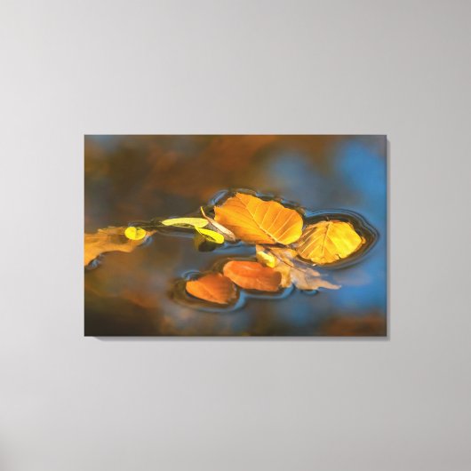 Herbstblätter im See キャンバスプリント (正面)