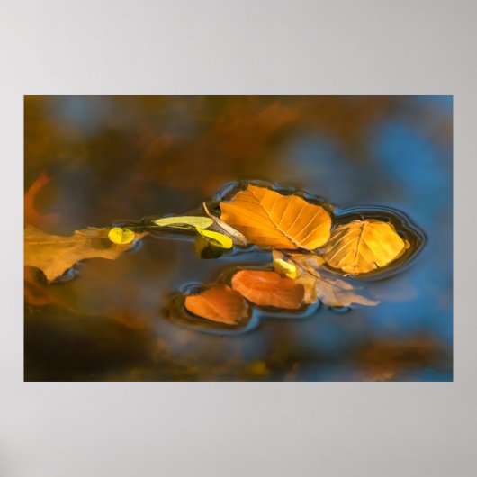Herbstblätter im See ポスター (正面)