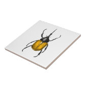 Hercules beetle タイル (側面)