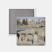 Herculium, Ercolano, Campania，イタリア マグネット (正面/裏面)